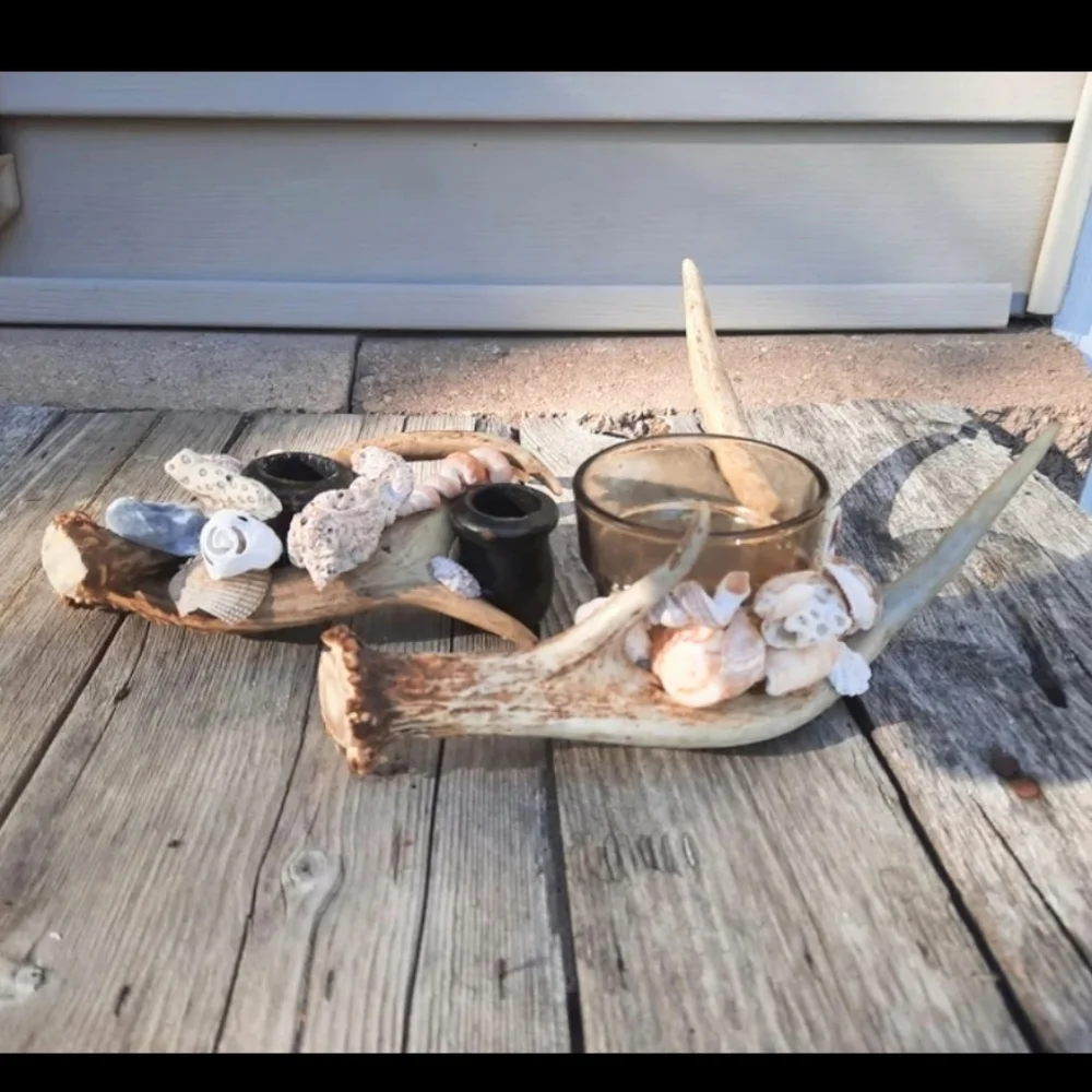 Lot 2 Shell & Antler Candle Holders Handcrafted
